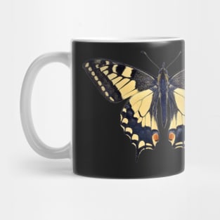 Special Colourful Butterfly | Entomology Lover Mug